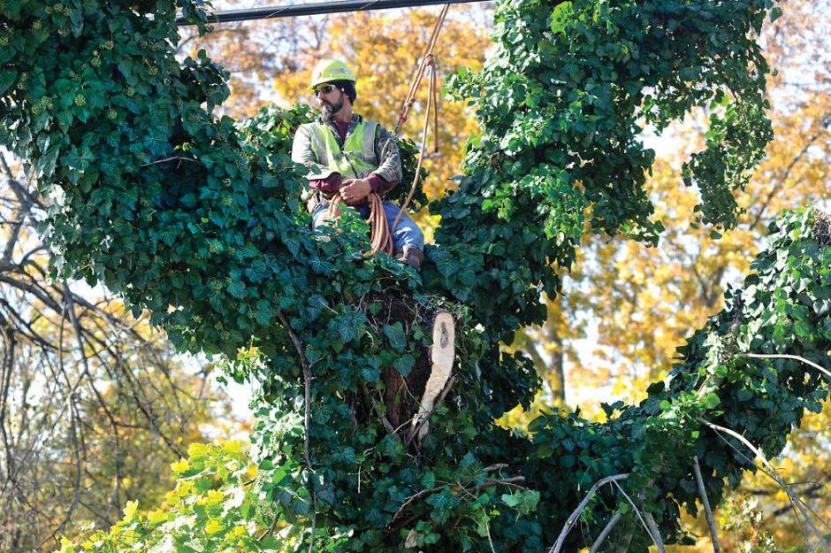 Press Enterprise Online Serving Bloomsburg, Berwick and Danville, PA