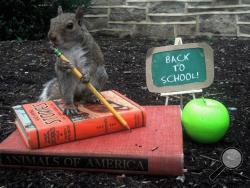 A look at one of the more recent pictures of "Sneezy" on the Facebook account created for the little animal befriended by PSU student Mary Krupa.