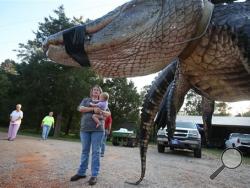 In this Saturday, Aug 16, 2014 photo, Mandy Stokes stands with her daughter Molly Kate Stokes next to a large alligator weighing 1011.5 pounds measuring 15-feet long is pictured in Thomaston, Ala. The alligator was caught in the Alabama River near Camden, Ala., by Mandy Stokes and family. (AP Photo/Al.com, Sharon Steinmann)