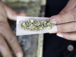 FILE - In this Nov. 9, 2016 file photo, a marijuana joint is rolled in San Francisco. On Monday, Feb. 27, 2017, the American Academy of Pediatrics is highlighting warnings about marijuana's potential harms for teens amid increasingly lax laws and attitudes on pot use. (AP Photo/Marcio Jose Sanchez, File)