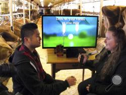 Tim Kwong, left, a marketing manager for Nintendo, competes against dairy farmer Alayna Perkins in a new video cow milking game Wednesday, March 29, 2017, at the Billings Farm & Museum in Woodstock, Vt. Two gamers beat two dairy farmers at virtual milking, but said they are no competition for the farmers at actual milking. (AP Photo/Lisa Rathke)