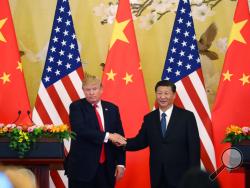U.S. President Donald Trump, left, and Chinese President Xi Jinping hold their joint press conference at the Great Hall of the People in Beijing, Thursday, Nov. 9, 2017. (AP Photo/Andrew Harnik)