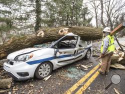 An electrical worker for INTREN, a electric company from Chicago that drove two days to get to Philadelphia to help PECO restore power, walks by a damaged vehicle on in Bryn Mawr, Pa., on Sunday, March 4 2018, that was crushed by a falling tree on Friday. The driver was able to climb out the window and received several stitches for his injuries. (Michael Bryant/The Philadelphia Inquirer via AP)