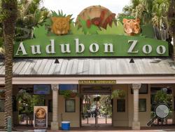 The Audubon Zoo closed after a jaguar escaped from its habitat and killed six animals, according to a release from zoo officials, Saturday, July 14, 2018 in New Orleans. (Brett Duke/The Times-Picayune via AP)