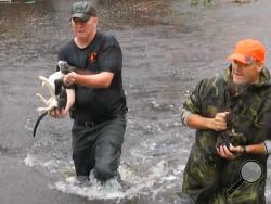 In this image from video, residents rescue carry cats they rescued by boat in floodwaters in Jacksonville, N.C., Friday, Sept. 14, 2018. (AP Photo/Robert Bumsted)