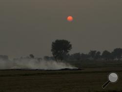 Smoke rises as farmers burn crop stubble during sunset at a village near Mathura, India, Saturday, Oct. 20, 2018. The Indian capital and large parts of north India gasp for breath for most of the year due to air pollution caused by dust, burning of crops, emissions from factories and the burning of coal and piles of garbage. (AP Photo/R S Iyer)