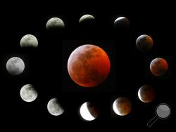 This combination photo shows the totally eclipsed moon, center, and others at the different stages during a total lunar eclipse, as seen from Los Angeles, Sunday, Jan. 20, 2019. It was also the year's first supermoon, when a full moon appears a little bigger and brighter thanks to its slightly closer position. During totality, the moon will look red because of sunlight scattering off Earth's atmosphere. That's why an eclipsed moon is sometimes known as a blood moon. In January, the full moon is also sometim