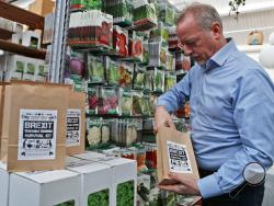 In this Monday, Feb. 25, 2019 photo, Paolo Arrigo of Seeds of Italy fills up a Brexit Vegetable Growing Survival kit bag, at his company store in London. Arrigo put together 12 months’ worth of easy-to-grow seed packets _ carrots, beans, lettuce, pumpkin, tomatoes _ and labelled it a Brexit Vegetable Growing Survival Kit. He has sold hundreds in a few weeks. (AP Photo/Frank Augstein)
