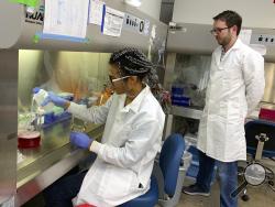 In this photo taken Feb. 15, 2019, lab automation engineer Chigozie Nri prepares nutrients to feed cells, as research director Nicholas Legendre watches, in the laboratory of cultured meat startup New Age Meats, which has produced cell-based pork in San Francisco. A growing number of startups worldwide are making cell-based or cultured meat that doesn't require slaughtering animals. (AP Photo/Terry Chea)