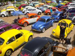 FILE - In this April 21, 2017 file photo, Volkswagen Beetles are displayed during the annual gathering of the "Beetle club" in Yakum, central Israel. The Israeli Beetle club was founded in 2001 and there are 500 members. Volkswagen is halting production of the last version of its Beetle model in July 2019 at its plant in Puebla, Mexico, the end of the road for a vehicle that has symbolized many things over a history spanning eight decades since 1938.(AP Photo/Oded Balilty, file)