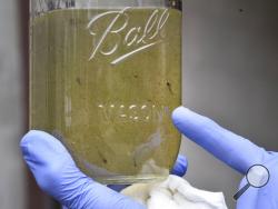 FILE - In this May 23 2019 file photo, Southern Connecticut State University professor Vincent Breslin holds a sample of water that contains possible microplastics at the North Haven Water Treatment Plant on Universal Drive. The World Health Organization says the levels of microplastics in drinking water don’t appear to be risky, but that more research is needed into their effects on the environment and health. A WHO report released Wednesday, Aug. 21, said the minuscule plastics are ubiquitous in the envir