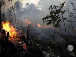 A fire burns trees and brush along the road to Jacunda National Forest, near the city of Porto Velho in the Vila Nova Samuel region which is part of Brazil's Amazon, Monday, Aug. 26, 2019. The Group of Seven nations on Monday pledged tens of millions of dollars to help Amazon countries fight raging wildfires, even as Brazilian President Jair Bolsonaro accused rich countries of treating the region like a "colony." (AP Photo/Eraldo Peres)