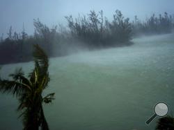 Strong winds from Hurricane Dorian blow the tops of trees and brush while whisking up water from the surface of a canal that leads to the sea, located behind the brush at top, seen from the balcony of a hotel in Freeport, Grand Bahama, Bahamas, Monday, Sept. 2, 2019. Hurricane Dorian hovered over the Bahamas on Monday, pummeling the islands with a fearsome Category 4 assault that forced even rescue crews to take shelter until the onslaught passes. (AP Photo/Ramon Espinosa)