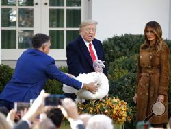President Donald Trump pardons Butter, the national Thanksgiving turkey, as first lady Melania Trump watches in the Rose Garden of the White House, Tuesday, Nov. 26, 2019, in Washington. (AP Photo/Patrick Semansky)
