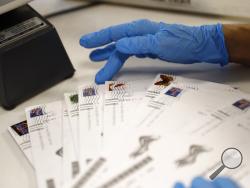 A worker processes mail-in ballots at the Bucks County Board of Elections office prior to the primary election, Wednesday, May 27, 2020 in Doylestown, Pa. (AP Photo/Matt Slocum)