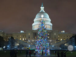 U.S. Capitol Christmas Tree is seen at the U.S. Capitol at night after negotiators sealed a deal for COVID relief Sunday, Dec. 20, 2020, in Washington. Top Capitol Hill negotiators sealed a deal Sunday on an almost $1 trillion COVID-19 economic relief package, finally delivering long-overdue help to businesses and individuals and providing money to deliver vaccines to a nation eager for them. (AP Photo/Jose Luis Magana.