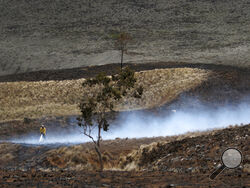 A Big Island firefighter puts out a blaze near Waimea, Hawaii, on Thursday, Aug. 5, 2021. The area was scorched by the state's largest ever wildfire. Experts say wildfires in the Pacific islands are becoming larger and more common as drought conditions increase along with climate change. (AP Photo/Caleb Jones)