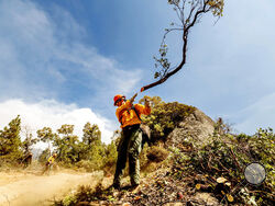 A member of the Roosevelt Hotshot Crew clears a firebreak while battling the Windy Fire on Thursday, Sept. 16, 2021, on the Tule River Reservation, Calif. His crew, which travelled from Colorado, has been battling California wildfires. (AP Photo/Noah Berger)