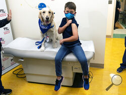 Carter Giglio, 8, joined by service dog Barney of Hero Dogs, shows off the bandaid over his injection site after being vaccinated, Wednesday, Nov. 3, 2021, at Children's National Hospital in Washington. The U.S. enters a new phase Wednesday in its COVID-19 vaccination campaign, with shots now available to millions of elementary-age children in what health officials hailed as a major breakthrough after more than 18 months of illness, hospitalizations, deaths and disrupted education. (AP Photo/Carolyn Kaster)