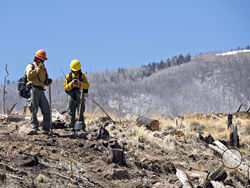 A pair of Resource Advisors from the Coconino National Forest record data in Division Alpha as they work to determine the severity of Tunnel Fires impact on the Forest. April 21, 2022 near Flagstaff, Ariz. The San Francisco Peaks in the rear show the effects of the 2010 Schultz Fire. (Tom Story/Northern Arizona Type 3 Incident Management Team, via AP)