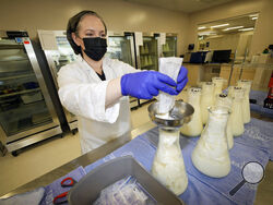 Rebecca Heinrich, director of the Mothers' Milk Bank, loads frozen milk donated by lactating mothers from plastic bags into bottles for distribution to babies Friday, May 13, 2022, at the foundation's headquarters in Arvada, Colo. (AP Photo/David Zalubowski)