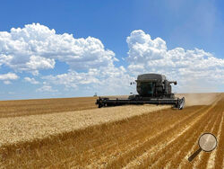 In this photo provided by Danny Wood, a combine harvests grain on his farm in northeastern Colorado in July 2022. Wood's combine has broken down, but the manufacturer doesn't allow him to make certain fixes, forcing Wood to wait precious days for service. That's why lawmakers in Colorado and 10 other states have introduce bills that would force farming equipment manufacturers to provide the tools, software, parts and manuals needed for farmers to do their own repairs. (Danny Wood via AP)