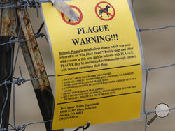 FILE - A bubonic plague warning sign is displayed at a parking lot near the Rocky Mountain Arsenal Wildlife Refuge, Saturday, Aug. 10, 2019, in Commerce City, Colo. Officials in central Oregon this week reported a case of bubonic plague in a resident who likely got the disease from a sick pet cat. (AP Photo/David Zalubowski, File)