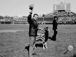  In this Oct. 2, 1984 file photo, Sam Sianis, owner of the Billy Goat Tavern in Chicago, acknowledges the crowd along with his goat prior to a National League playoff game between the San Diego Padres and the Cubs in Chicago. Cubs fans Erik Williams and Brad Knaub are hoping to exorcise the Curse of the Billy Goat this postseason by, well, slaughtering one of their own goats. They own a company that produces sausage and other food from locally sourced meats. Now, perhaps this entire endeavor is another crac