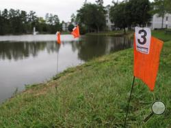 Orange evidence flags line the shore of a pond in the Audubon Lake neighborhood of Durham, N.C. on Tuesday, Sept. 22, 2015. Police say Alan Tysheen Eugene Lassiter attempted to drown his three young children, two of whom remain hospitalized. (AP Photo/Allen G. Breed)