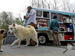 In this April 5, 2016 photo, Jannelle Harding, of Seattle, gives her pug Stella a treat purchased from a food truck specializing in treats for dogs during the lunch hour at the headquarters for the clothing and skateboard retailer Zumiez, in Lynnwood, Wash. The Seattle Barkery serves dogs and their owners at Seattle-area dog parks, office building parking lots, farmer's markets and private events. (AP Photo/Ted S. Warren)