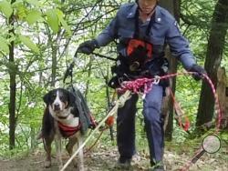  In this May 23, 3017, photo provided by New York State Office of Parks, Recreation and Historic Preservation, New York State Parks Police Officer Ryan Clancy, escorts "Skippy" just after using a harness and ropes to rescue the dog in Letchworth State Park, near Mount Morris, N.Y. Skippy was stranded about half-way down a 400-cliff in the Genesee River gorge. (Lt. James Hy/New York State Park Police via AP)