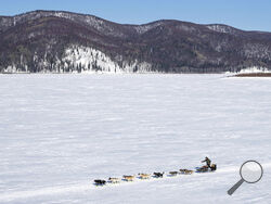 FILE - Brent Sass heads down the Yukon River between Ruby and Galena, Alaska, on March 13, 2020, during the Iditarod Trail Sled Dog Race. Only 33 mushers will participate in the ceremonial start of the Iditarod on Saturday, March 4, the smallest field ever. (Loren Holmes/Anchorage Daily News via AP, File)