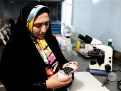 In this Tuesday, Nov. 3, 2015 photo, Iranian caviar expert Somayeh Najafzadeh pours caviar in a dish in a research laboratory at the Ghareh Boron Caviar Fish Farm in the coastal town of Goldasht. Iran, once the world's biggest exporter, sold over 40 tons of sturgeon eggs in 2000 but exports plunged to just 1 ton last year due to dwindling natural stocks and economic sanctions imposed by world powers in response to Iran’s nuclear program. (AP Photo/Ebrahim Noroozi)