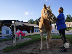 Dionne Williamson, of Patuxent River, Md., grooms Woody before her riding lesson at Cloverleaf Equine Center in Clifton, Va., Tuesday, Sept. 13, 2022. After finishing a tour in Afghanistan in 2013, Williamson felt emotionally numb. As the Pentagon seeks to confront spiraling suicide rates in the military ranks, Williamson’s experiences shine a light on the realities for service members seeking mental health help. (AP Photo/Susan Walsh)