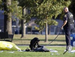 A fire investigator and K-9 dog investigate the scene on the National Mall in Washington, where, according to a fire official, a man set himself on fire Friday, Oct. 4, 2013. The official said the man was flown by helicopter to a hospital. (AP Photo/Alex Brandon)