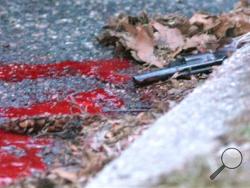 A revolver lies in a pool of blood in the street next to Heriberto Pagan’s car, in the Rosebank section of the Staten Island borough of New York, Friday, March 28, 2014. Police say that the 86-year-old Pagan shot his grandson in the head, wounding him, before killing the man’s girlfriend. He got in his car and drove a couple blocks from the murder before taking his own life. Police say the motive for the murder/suicide is unclear. (AP Photo/Staten Island Advance, Bill Lyons)