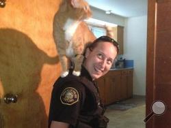 Sarah Kerwin is seen with a cat in Portland, Ore. Sgt. Pete Simpson says police were called when a woman returned home from work to find her house burglarized. When police entered the home to search for a suspect, Kerwin noted broken glass on the floors of the basement and a bathroom. Kerwin picked up the cat to make sure it didn't step in the glass. The cat happily climbed onto Kerwin's shoulders and stayed there as police finished searching the house. (AP Photo/Portland Police Bureau)