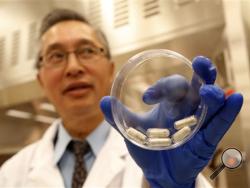 Dr. Thomas Louie, an infectious disease specialist at the University of Calgary, holds a container of stool pills in triple-coated gel capsules in his lab in Calgary, Alberta, Canada on Thursday, Sept. 26, 2013. Half a million Americans get Clostridium difficile, or C-diff, infections each year, and about 14,000 die. A very potent and pricey antibiotic can kill C-diff but also destroys good bacteria that live in the gut, leaving it more susceptible to future infections. (AP Photo/The Canadian Press)
