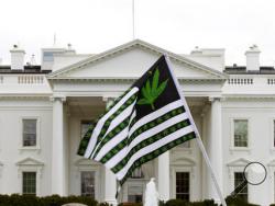 In this April 2, 2016 file photo, a demonstrator waves a flag with marijuana leaves on it during a protest calling for the legalization of marijuana, outside of the White House in Washington. Six states that allow marijuana use have legal tests for driving while impaired by the drug that have no scientific basis, according to a study by the nation’s largest automobile club that calls for scrapping those laws. (AP Photo/Jose Luis Magana, File)