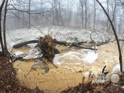 A large ice jam was stopped by a tree that had fallen across Green Creek just outside of Orangeville Tuesday morning.