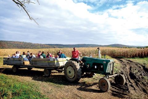 Children from Trinity Child Care in Danville take a hayride at Whitenight’s Farm Market in Riverside on Thursday morning. Driving the tractor is Brian Whitenight. The kids also got to examine a variety of pumpkins and squash and the to play on the slides, straw piles, swings, tubes and foam pits in Pumpkinville. Children from Trinity Child Care in Danville take a hayride at Whitenight’s Farm Market in Riverside on Thursday morning. Driving the tractor is Brian Whitenight. The kids also got to examine a variety of pumpkins and squash and the to play on the slides, straw piles, swings, tubes and foam pits in Pumpkinville.