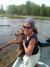 This image provided by the Four Rivers Fishing Co., shows Karen Sciascia of Red Hill, Pa., holding a baby moose she and Twin Bridges guide Seth McLean rescued in the Big Hole River in southwestern Montana on Saturday, June 1, 2013, near Missoula, Mont. Sciascia says she scooped the moose out of the water and McLean rowed the raft upriver so they could return the calf to her mother. (AP Photo/Four Rivers Fishing Co.)