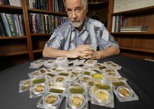 David Hall, co-founder of Professional Coin Grading Service, poses with some of 1,427 Gold-Rush era U.S. gold coins, at his office in Santa Ana, Calif., Tuesday, Feb. 25, 2014. Nearly all of the 1,427 coins, dating from 1847 to 1894, are in uncirculated, mint condition, said Hall, who recently authenticated them. Although the face value of the gold pieces only adds up to about $27,000, some of them are so rare that coin experts say they could fetch nearly $1 million apiece. (AP Photo/Reed Saxon)