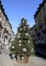 A Christmas tree that was previously adorned with red sex toys is displayed in a street, in Milan, Italy, Friday, Dec. 13, 2013, after the decorations had been removed. (AP Photo/Antonio Calanni)