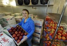In this photo taken Friday, Feb. 12, 2016, Kate Evans, a lead scientist at Washington State University's Tree Fruit Research & Extension Center in Wenatchee, Wash., poses for a photo in a fruit cooler holding a box of Cosmic Crisp apples, a brand new trademarked and focus group tested apple variety developed by the WSU lab over the last 20 years. “Cosmic Crisp is the first big release the Washington industry is going to have all to itself…” said Evans. (AP Photo/Ted S. Warren)