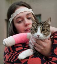 In this Sept. 5, 2013 photo, Stephanie Gustafson holds her two-year-old female cat, Wasabi, after returning from the veterinarian hospital in Juneau, Alaska. The cat survived a fall from the 11th floor of the Mendenhall Apartment building after chasing a mosquito out the window. (AP Photo/The Juneau Empire, Michael Penn)