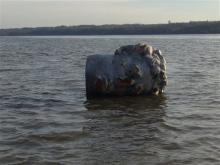 a giant head made of Styrofoam and fiberglass is seen floating in the Hudson River in Poughkeepsie, N.Y. Officials at the college in say their crew team was practicing earlier this week when the coach spotted a large object floating near the river's west bank. He hooked a rope to it and towed it to the team's dock on the east bank. (AP Photo/Marist College, Matthew Lavin)