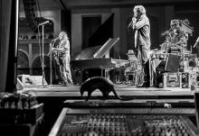 This Monday, March 31, 2014, image provided by the Westin Lake Las Vegas Resort in Henderson, Nev., shows Willie Nelson, left, during a performance at the resort, that also shows his stuffed armadillo, center. (AP Photo/Westin Lake Las Vegas Resort, Paul Citone)