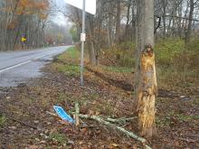 The site of a fatal accident near Benton on Monday afternoon. (Press Enterprise/Julye Wemple)