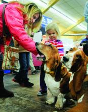 Angie Francis, left, and Lily Crumb, 2, both of Danville, pet Schotzie, a 6-year-old Basset Hound